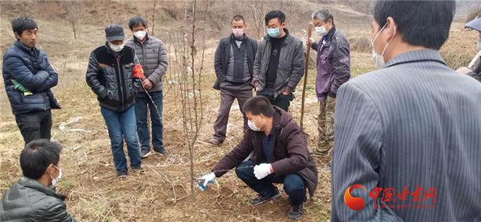 【甘肅全民戰(zhàn)“疫”】隴南徽縣：花椒田里培訓(xùn)忙，戰(zhàn)疫春耕兩不誤