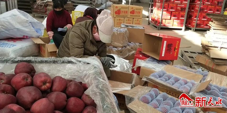 天水“花?！弊罱悬c“牛”