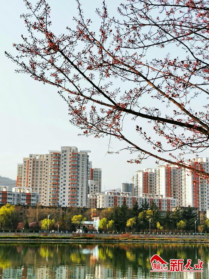 春天，古城天水的十個(gè)美麗瞬間