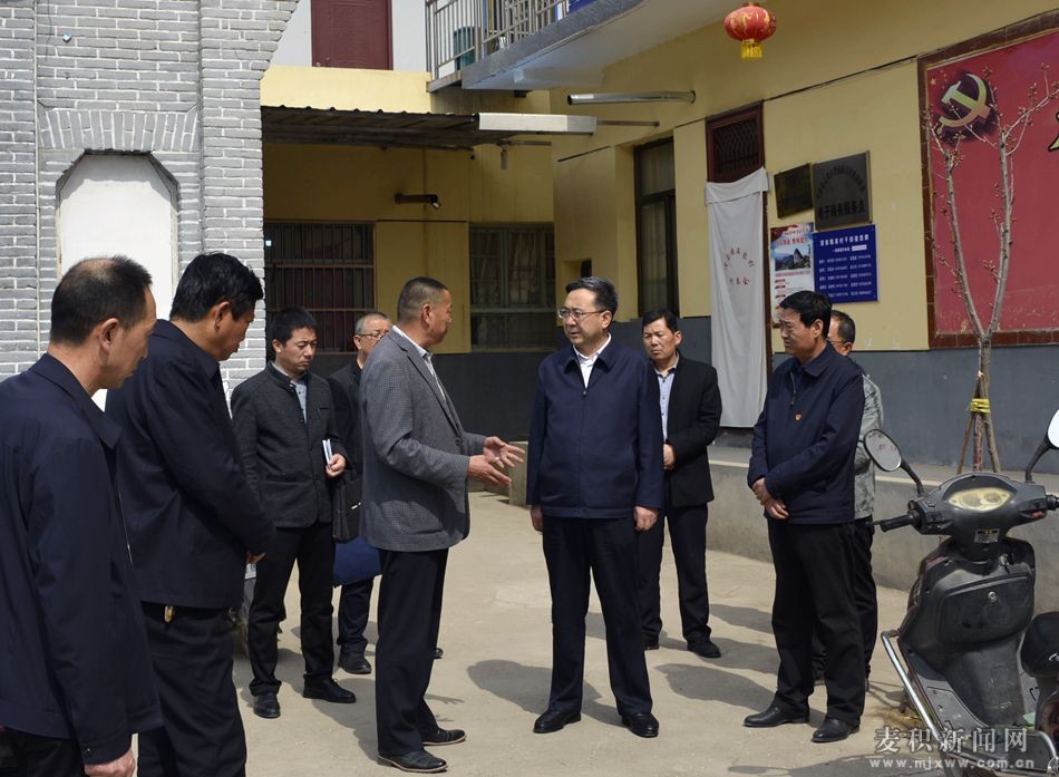 張智明督查調(diào)研渭南鎮(zhèn)脫貧攻堅(jiān)工作