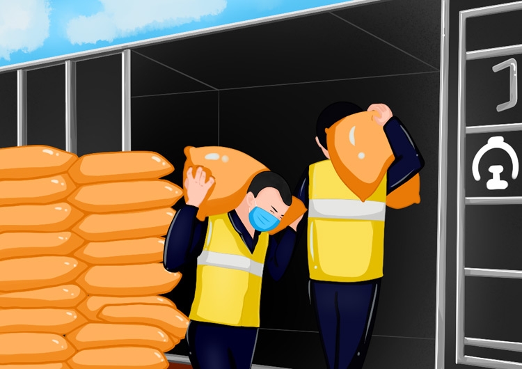 【光明漫評】保障春耕物資，播種希望筑牢信心