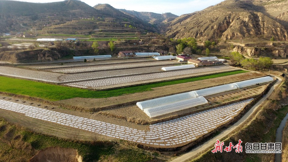 【決戰(zhàn)決勝脫貧攻堅看慶陽】慕明軍的“脫貧經”