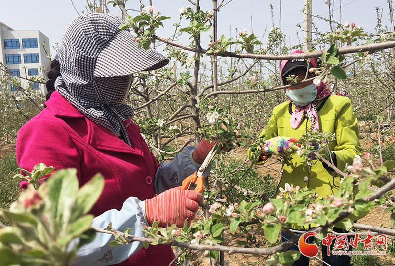 【甘肅省決戰(zhàn)決勝脫貧攻堅(jiān)】靈臺(tái)模式：盤(pán)活勞務(wù)內(nèi)生動(dòng)力 助力脫貧攻堅(jiān)之戰(zhàn)（圖）