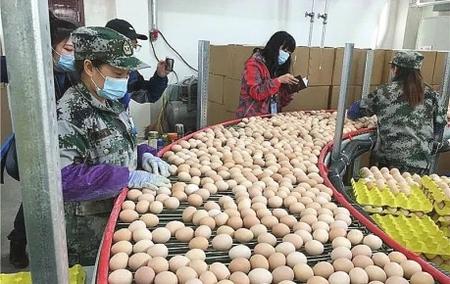 創(chuàng)新產業(yè)帶貧機制 做活扶貧大文章——隴南禮縣產業(yè)扶貧工作綜述