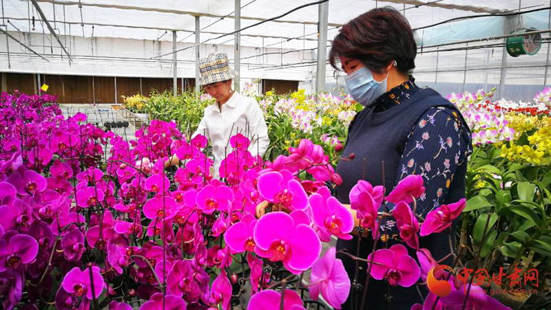 張掖民樂建設現代絲路田園綜合體 打造鄉(xiāng)村振興“新引擎”