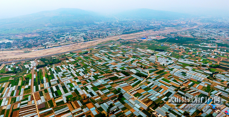 【為民情懷】武山：加快促進產業(yè)升級 實現縣域經濟發(fā)展與民生福祉互動共贏