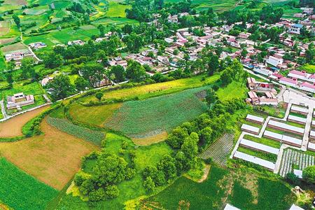 【溫暖的回響 滄桑巨變 飲水思源】這條路，通往幸福