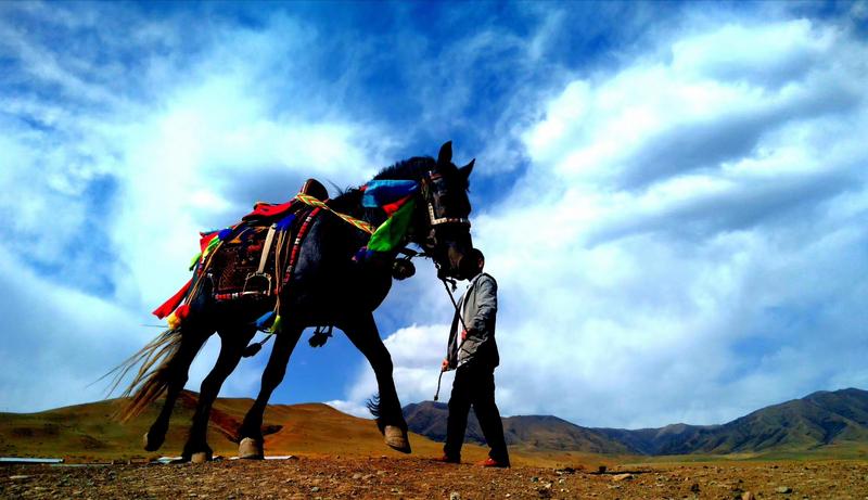好消息！天祝被命名為“中國高原走馬之鄉(xiāng)”