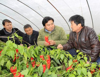 蘭州市農(nóng)業(yè)科技人員“三下鄉(xiāng)”為農(nóng)民開展技術(shù)培訓