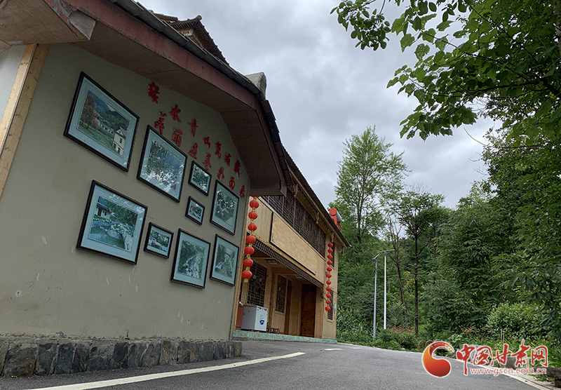 【走向我們的小康生活】村美、業(yè)興、民富……康縣何家莊描繪鄉(xiāng)村振興新畫卷（圖）