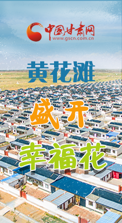 【跟著總書記看甘肅】長(zhǎng)圖|武威黃花灘盛開幸?；?