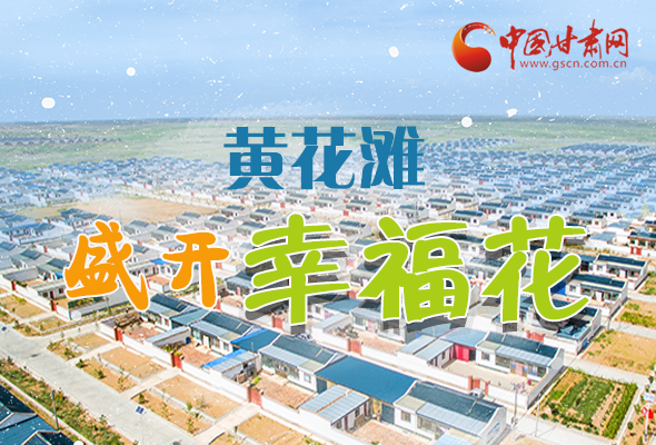 【跟著總書記看甘肅】長(zhǎng)圖|武威黃花灘盛開幸?；?