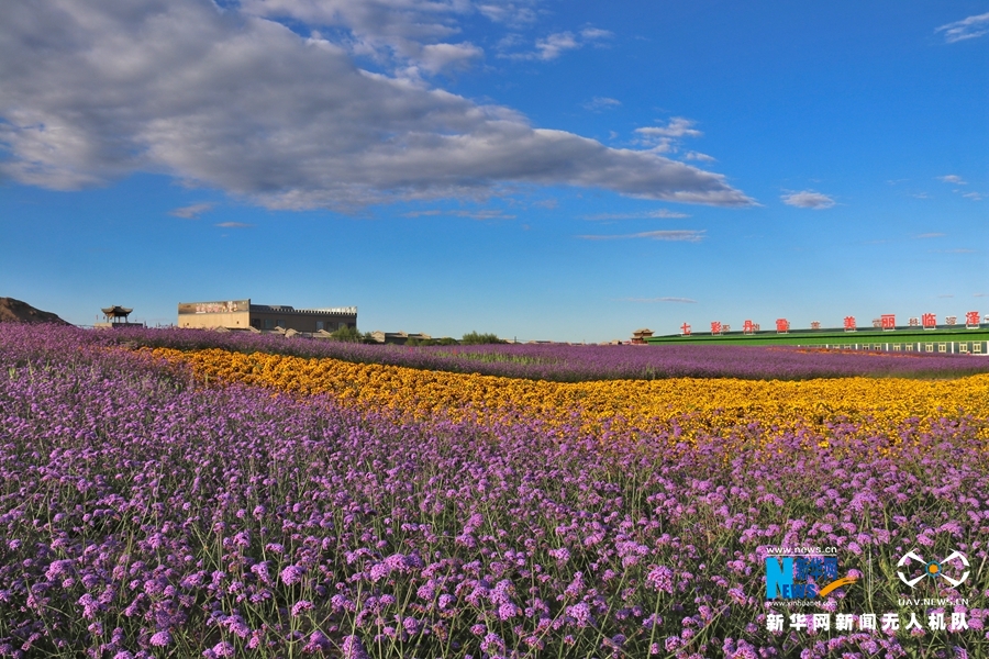 【“飛閱”中國(guó)】鳳凰花?！罢钩帷钡は伎?>
        </a><em>【“飛閱”中國(guó)】鳳凰花?！罢钩帷钡は伎?/em></li>
    <li><a  target=