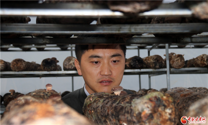 110年！何家溝村終于有了集體經(jīng)濟(jì)——中建二局黨建結(jié)對幫扶成效顯著