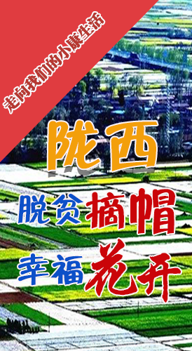 【走向我們的小康生活】長圖|隴西：脫貧摘帽 幸?；ㄩ_