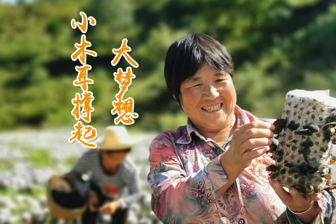 海報丨他們，乘“豐”破浪！