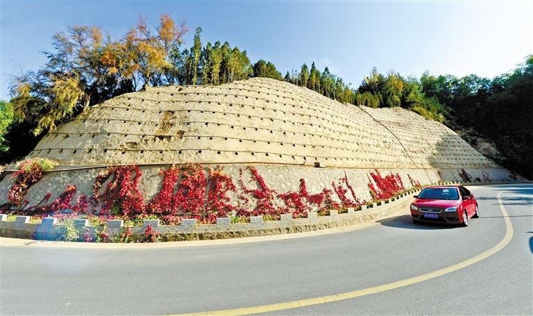 近90度陡坡上種樹！蘭州南北兩山綠化出新招