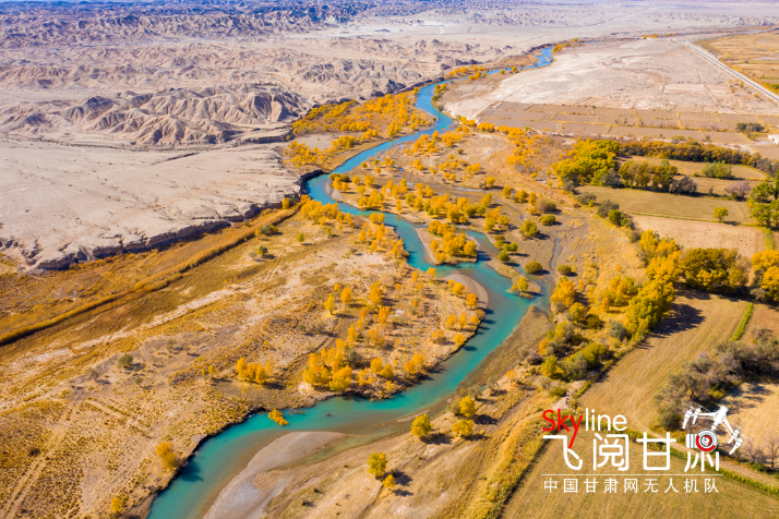 【飛閱甘肅】好美！疏勒河畔大地斑斕