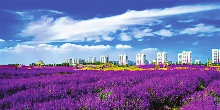 “三連冠”！金昌蟬聯(lián)全國文明城市