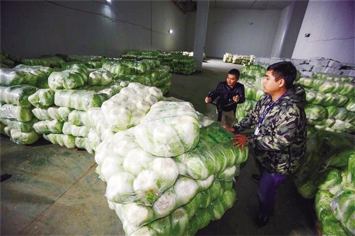 蘭州市已儲備1萬噸冬春蔬菜以耐貯存、易周轉(zhuǎn)品種為主