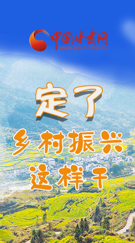 圖解|定了！全面推進(jìn)鄉(xiāng)村振興這樣干！