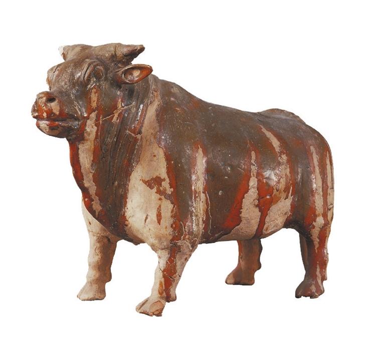 打開眼界丨牛年看牛，越看越牛!