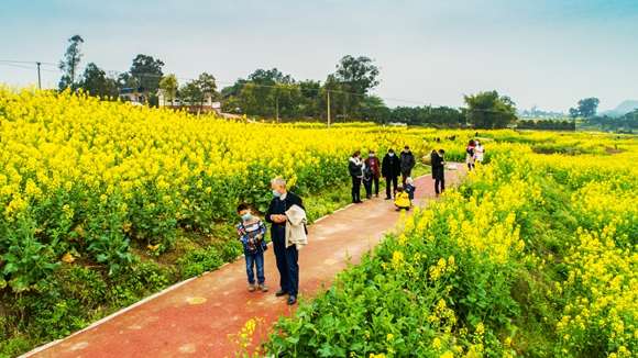 游客在花海里踏青。廖濤 攝