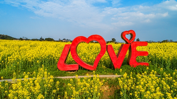 “l(fā)ove”創(chuàng)意拍照墻。廖濤 攝