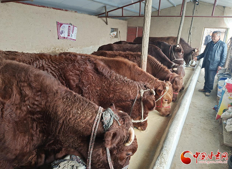 平?jīng)鰶艽ǎ骸芭！碑a(chǎn)業(yè)鋪就致富路