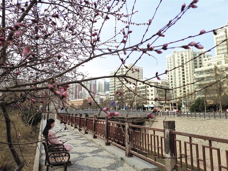 蘭州“第一朵花”開了！