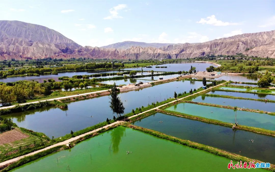 一秒入畫！太極島濕地風(fēng)光秀麗