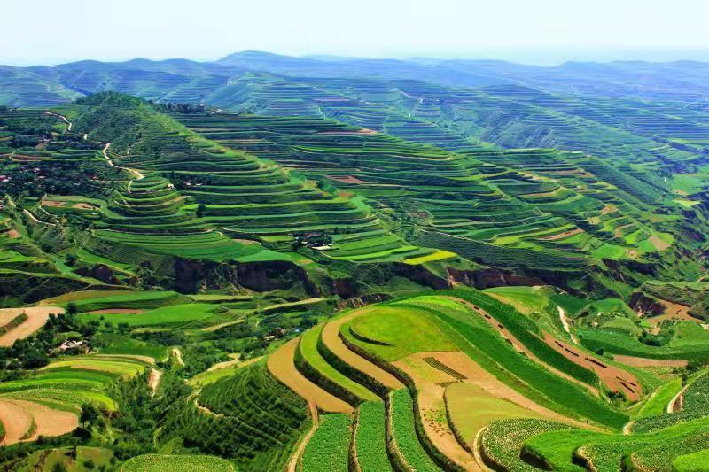 追趕進位，跑好脫貧后的“第一棒”——定西市委書記戴超談“后脫貧”時代定西高質量發(fā)展