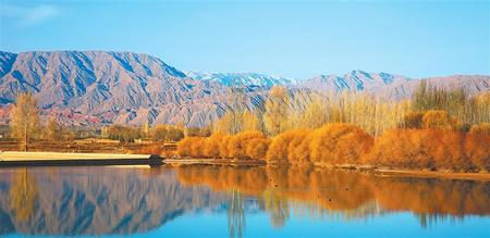 張掖市甘州區(qū)黑河流域草灘莊水域水鳥(niǎo)游弋