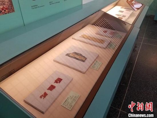 圖為展覽現(xiàn)場(chǎng)。　敦煌研究院供圖