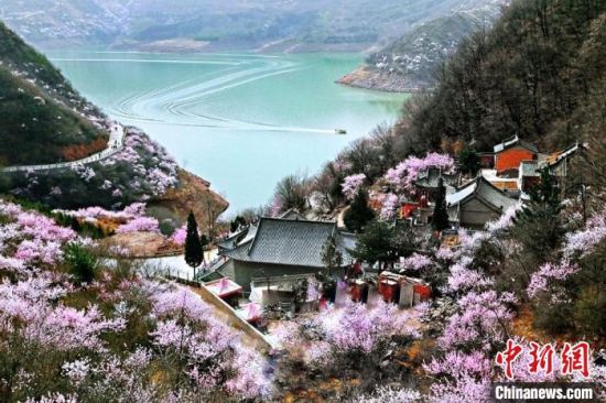 甘肅平?jīng)鍪惺侵袊?guó)優(yōu)秀旅游城市。圖為平?jīng)鲠轻忌较率锾一ㄊ㈤_。(資料圖) 平?jīng)鍪形麄鞑抗﹫D