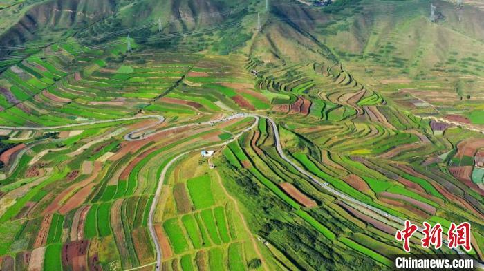 秋日里，榆中縣馬坡鄉(xiāng)千畝梯田，不同農(nóng)作物漸趨成熟，呈現(xiàn)出多種色彩，宛若大地的“調(diào)色盤”?！圆?攝