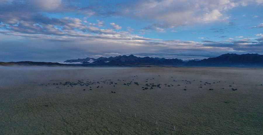 甘肅山丹馬場(chǎng)：峽谷云霧似仙境。 王超攝