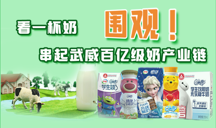 圖解|圍觀！看一杯奶串起武威百億級奶產(chǎn)業(yè)鏈