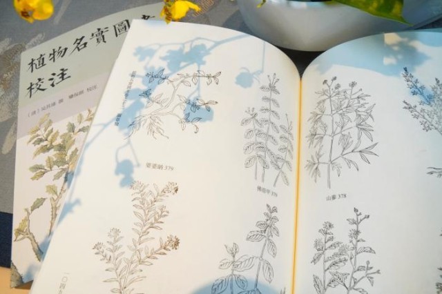 《植物名實圖考校注》內(nèi)頁。圖片來源：中華書局供圖