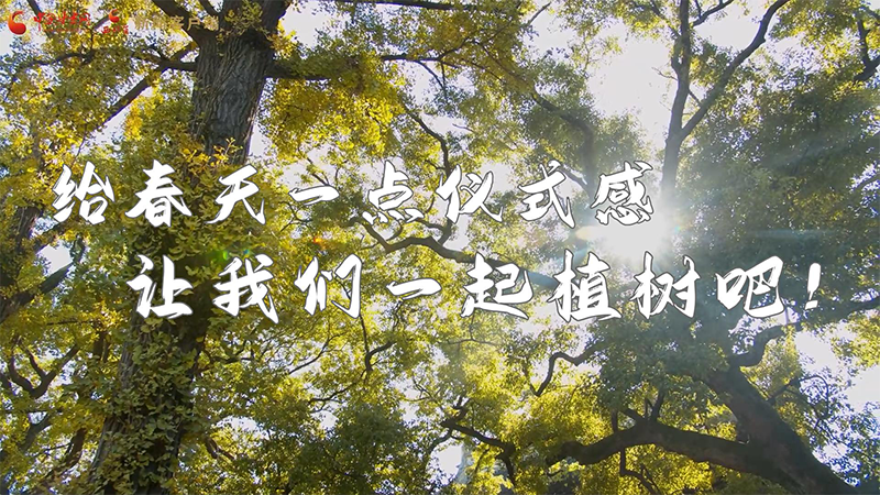 短視頻|給春天一點(diǎn)儀式感，讓我們一起植樹吧！