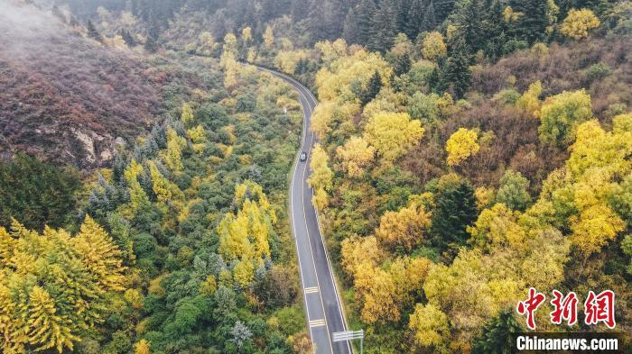 深秋，航拍位于蘭州市榆中縣的興隆山，景色如畫。金峯 攝</p>
<p>