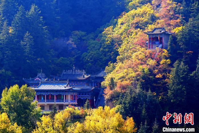 深秋，位于蘭州市榆中縣的興隆山景色如畫。宮衛(wèi)紅 攝