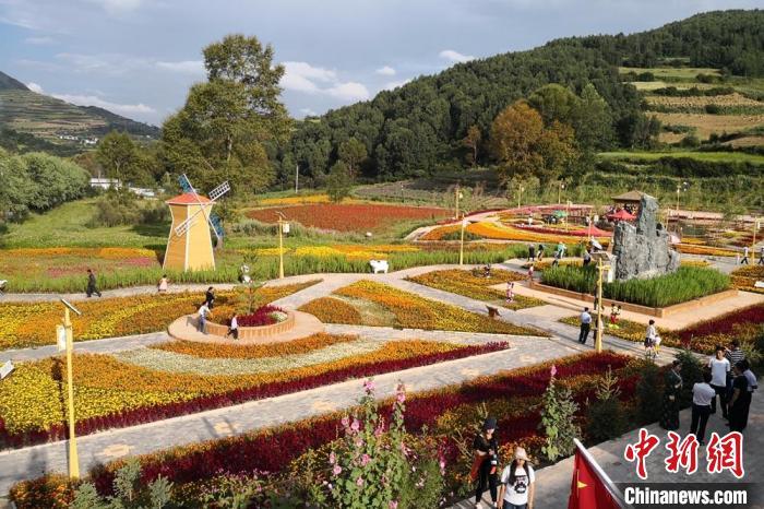 圖為航拍甘肅甘南臨潭縣八角鎮(zhèn)，花海吸引游人。(資料圖)高展 攝