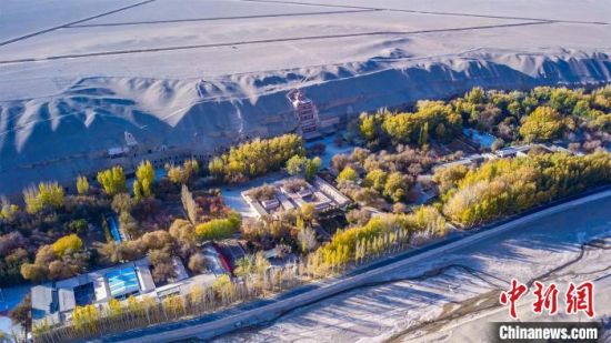 2022年11月，航拍深秋季節(jié)的莫高窟?！　⊥醣筱y 攝