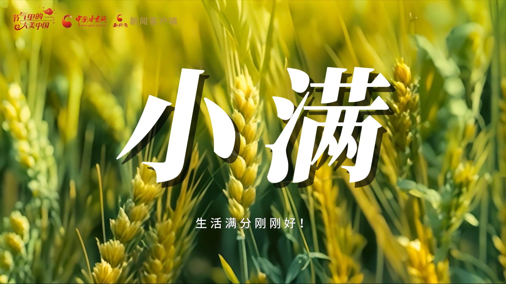 【節(jié)氣里的大美甘肅·小滿】生活滿分剛剛好！