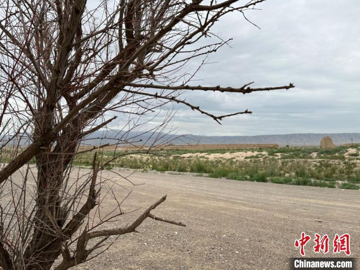 圖為位于長城墻體上的“馬面”或“敵臺”?！〈魑牟?攝