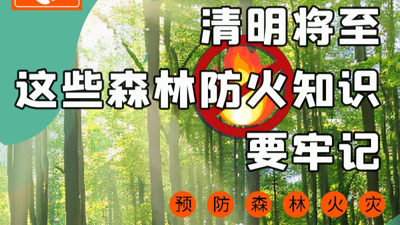 【甘快看】圖解|緊繃“安全弦”！清明，這些森林防火知識(shí)要牢記