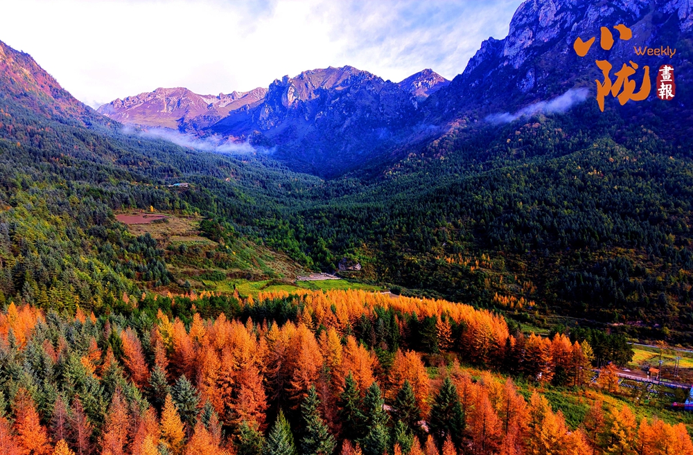 舟曲絢麗賽爾布 斑斕滿(mǎn)眼秋