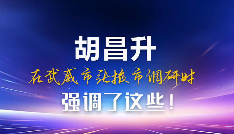 圖解|胡昌升在武威市張掖市調(diào)研時強調(diào)這些！